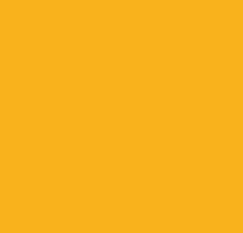 Amber Block
